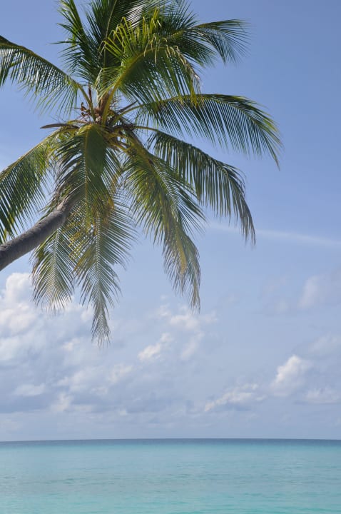 Kuramathi Kuramathi Maldives