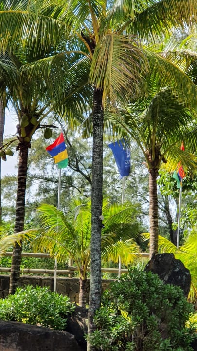 Gartenanlage Victoria Beachcomber Resort & Spa