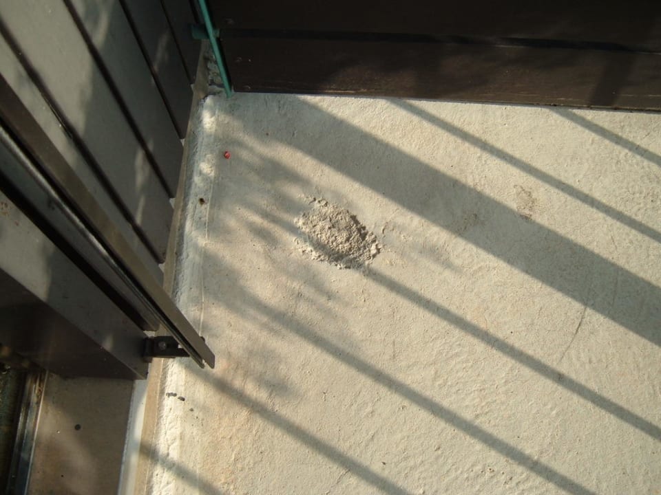 Unser Balkon Arcadia Sonnenhof