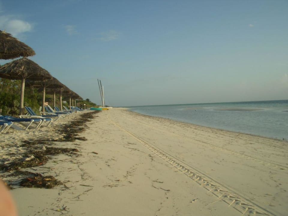 Strand bei Ebbe Hotel Camino del Mar Cayo Guillermo