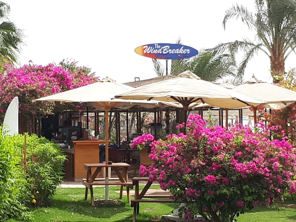 Gastro Fort Arabesque Resort, Spa & Villas