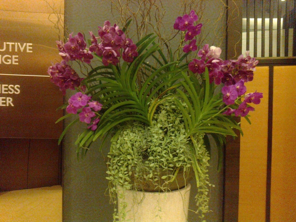 Überall Wohlfühlambiente Chatrium Hotel Riverside Bangkok