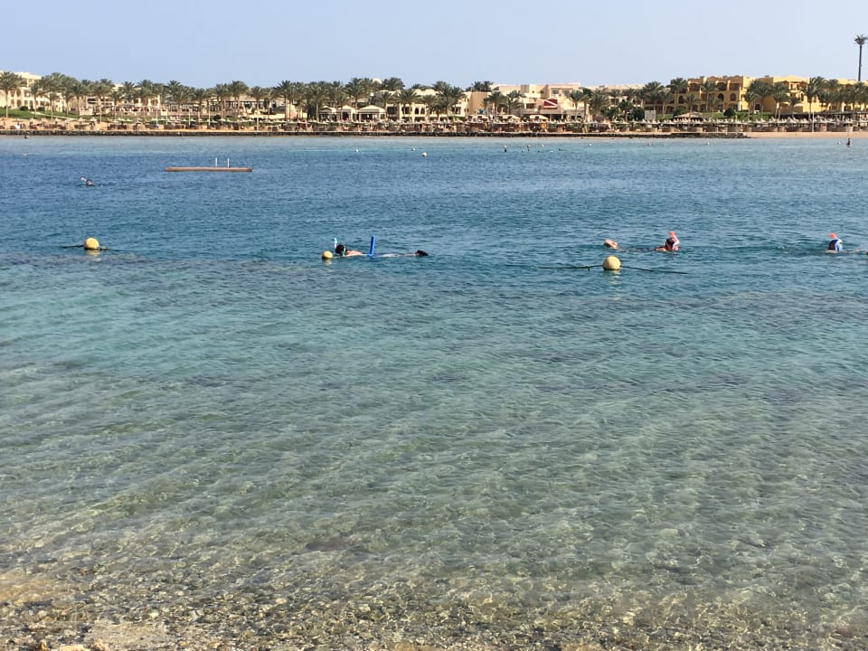 Strand Steigenberger Coraya Beach - Adults only