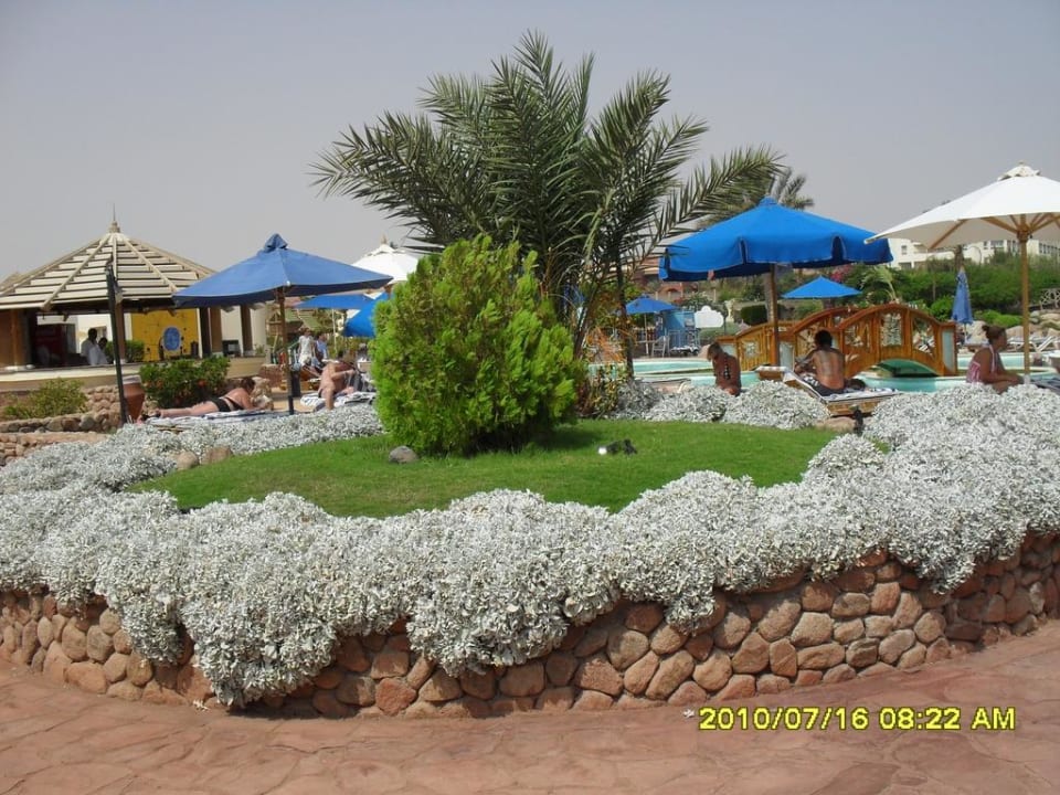 Ogróg Coral Sea Waterworld