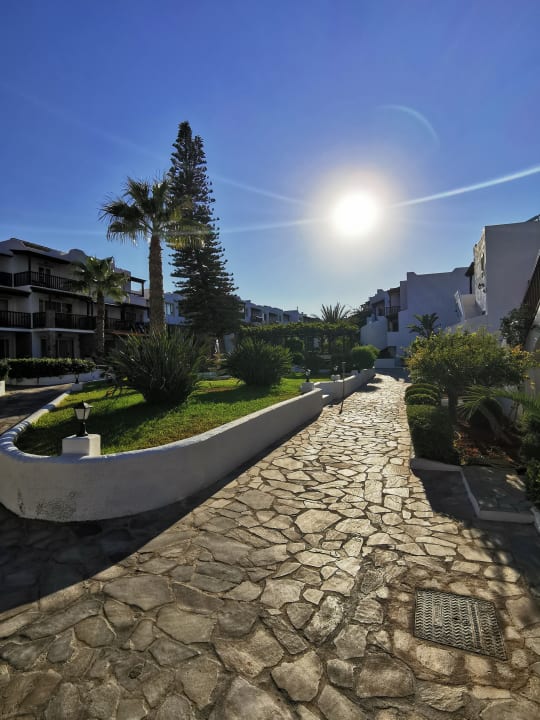 Gartenanlage Alexander Beach Hotel & Village Resort