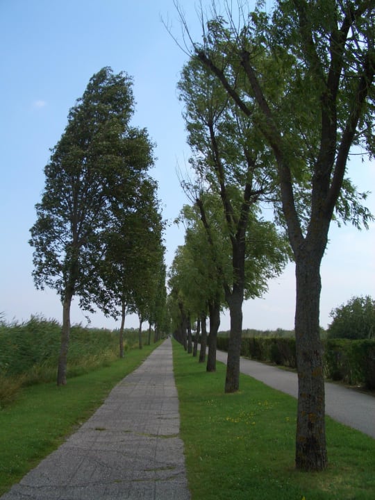 Blick auf die Strasse zur Seebühne und Schwimmbad Landhaus Pannonia