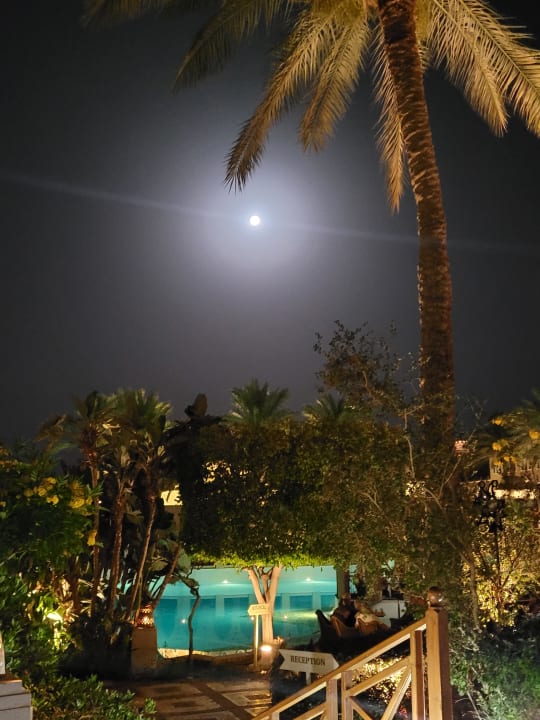 Ausblick Makadi Palace