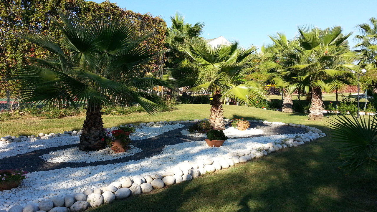 Palmen Hotel Turan Prince