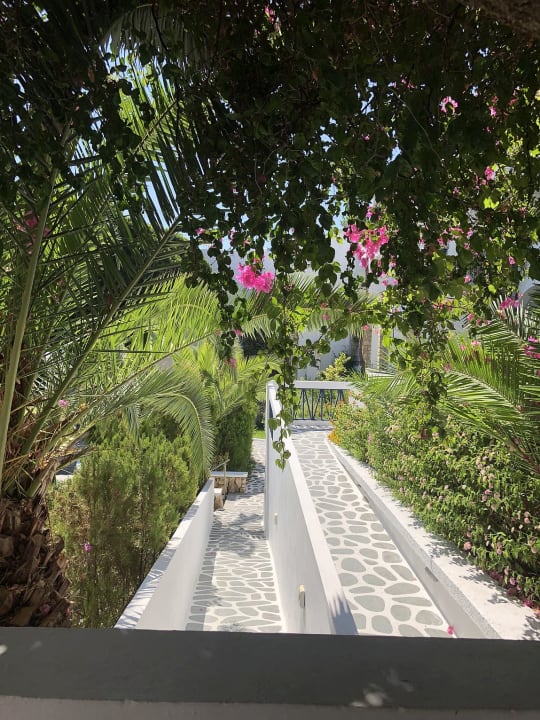 Ausblick Ekaterini Hotel