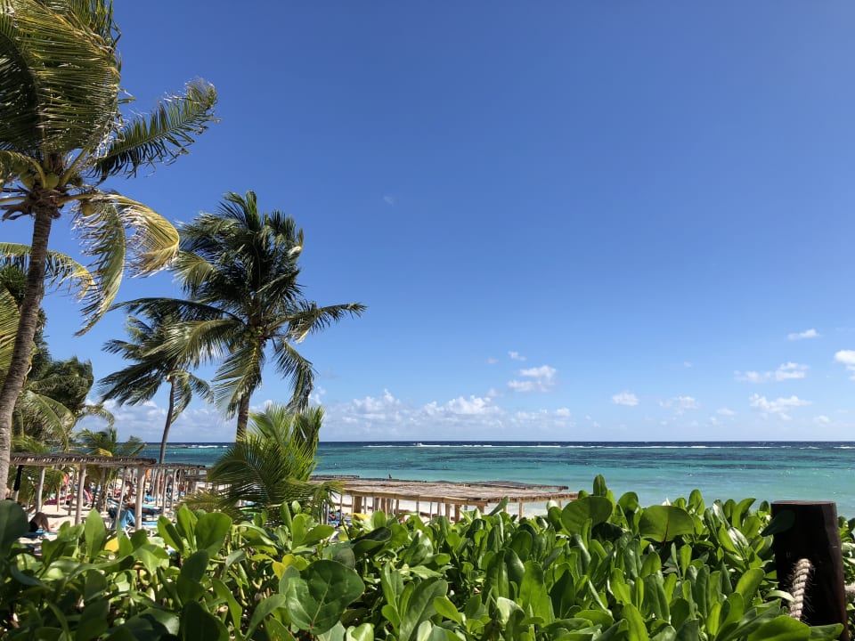 Strand Akumal Bay Beach & Wellness Resort