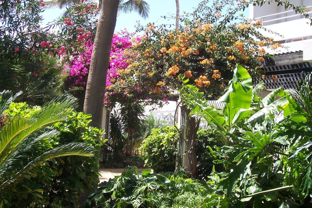 Garten ROBINSON JANDIA PLAYA