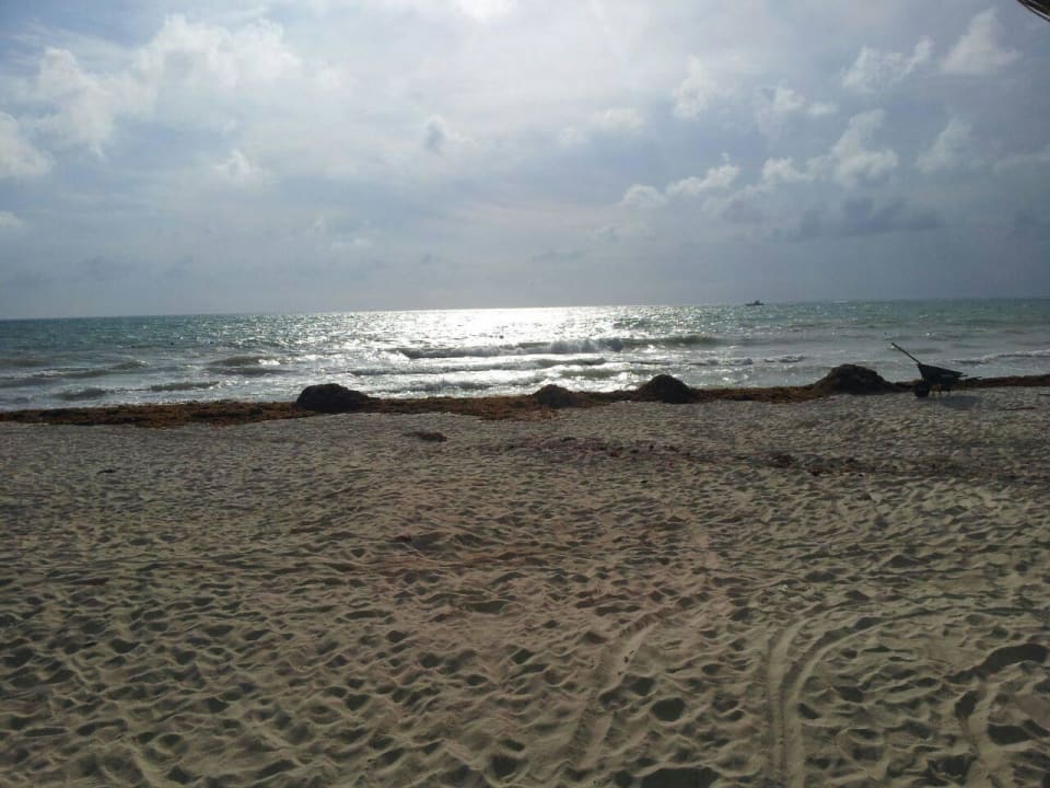 Hotel Catalonia Playa Maroma Catalonia Playa Maroma