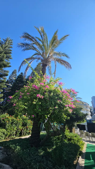 Gartenanlage Side Sun Hotel