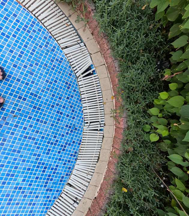 Pool Grand Hyatt Dubai