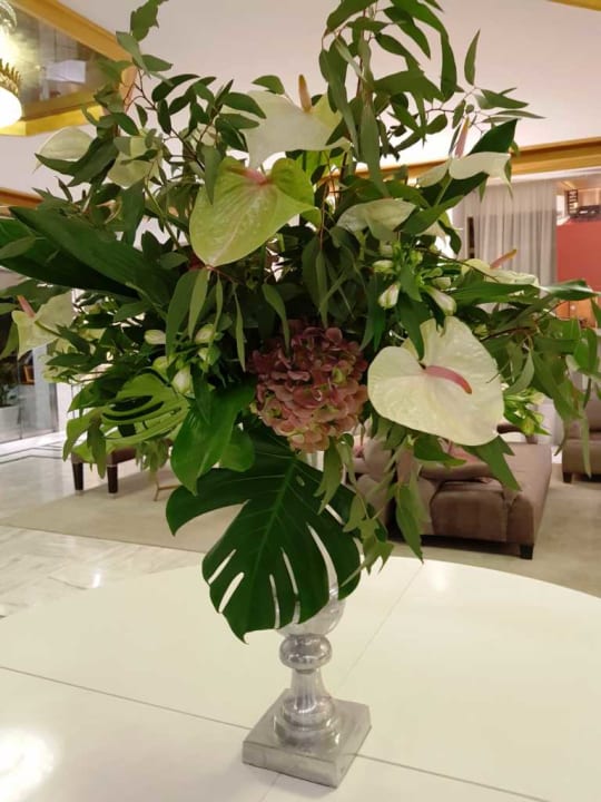 Deko GPRO Valparaiso Palace & Spa