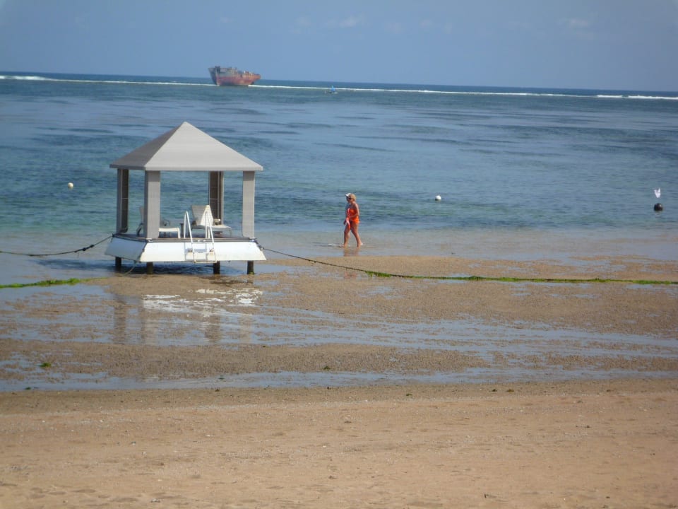 Ebbe; im Hintergrund Schiffswrack Puri Santrian