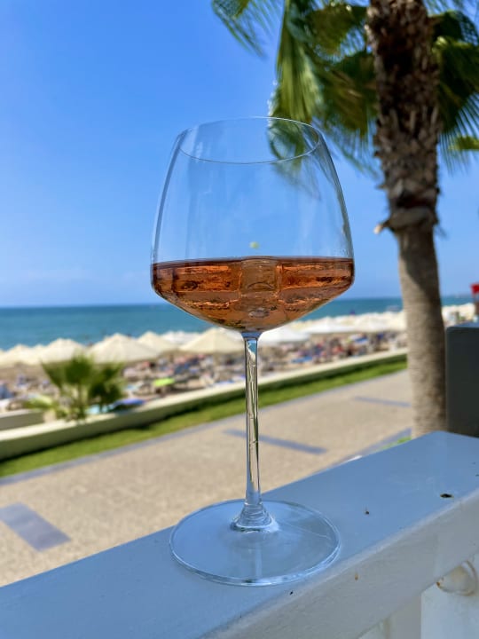 Gastro Acanthus Cennet Barut Collection