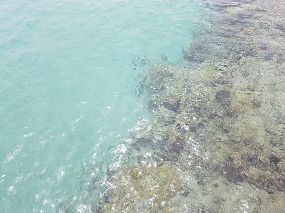 Strand Hotel Titanic Palace