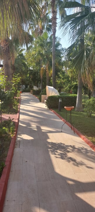 Gartenanlage Saphir Resort & Spa