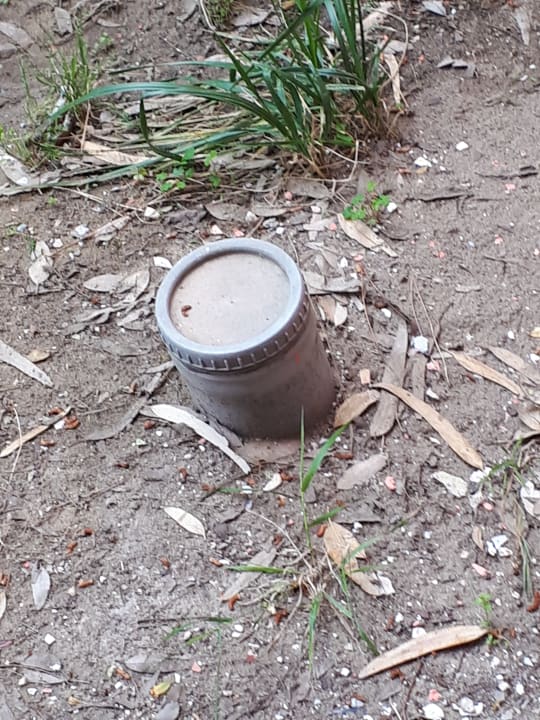 Zimmer Domes Aulūs Zante, Autograph Collection