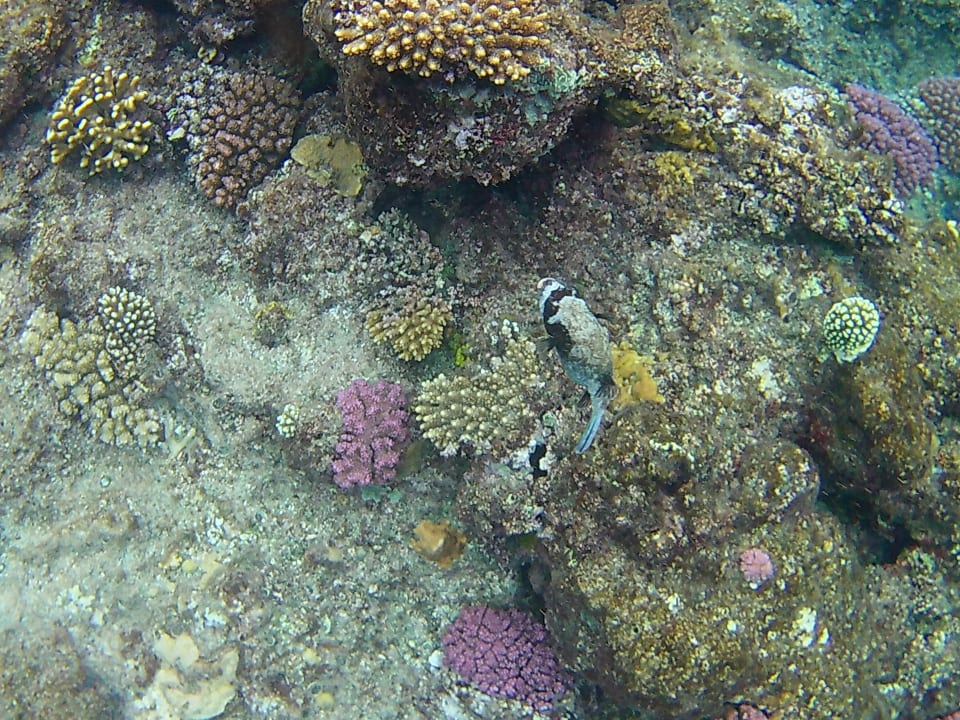 Strand Three Corners Sea Beach Resort