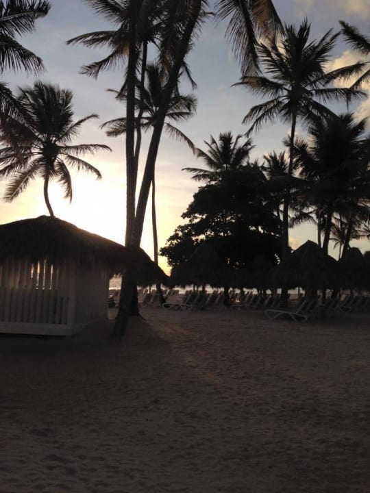 Sonnenaufgang Meliá Caribe Beach Resort-All Inclusive
