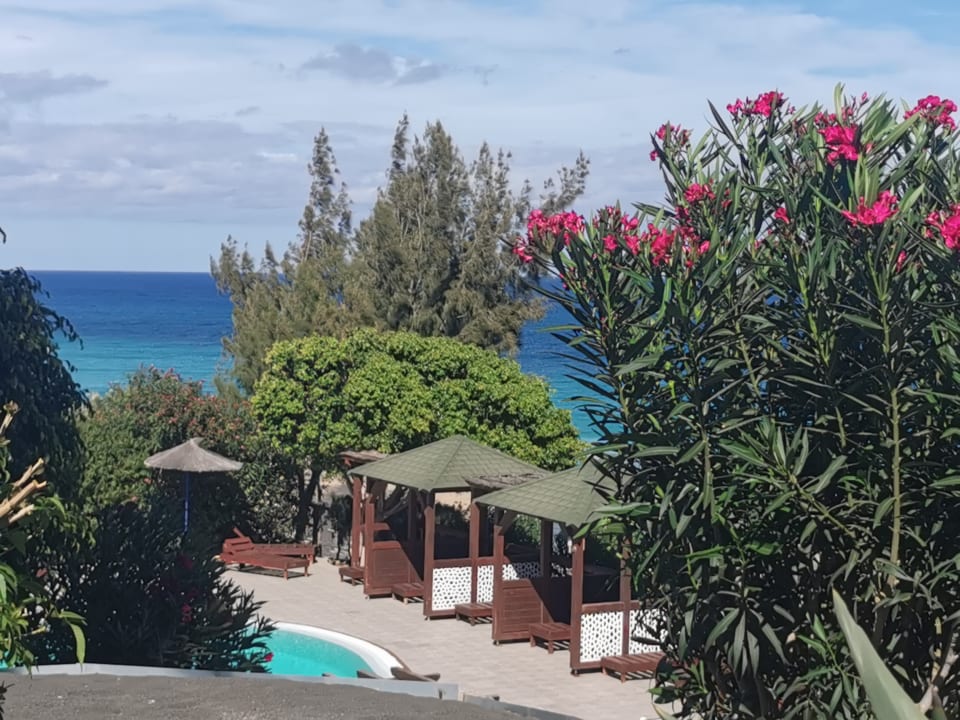 Ausblick Marina Playa Suite Hotel