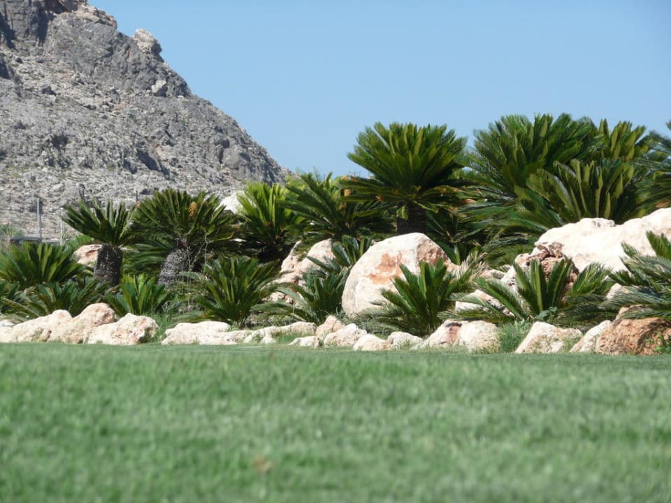 Gartenanlage Aquagrand Artistic Luxury Beach Resort - Adults only