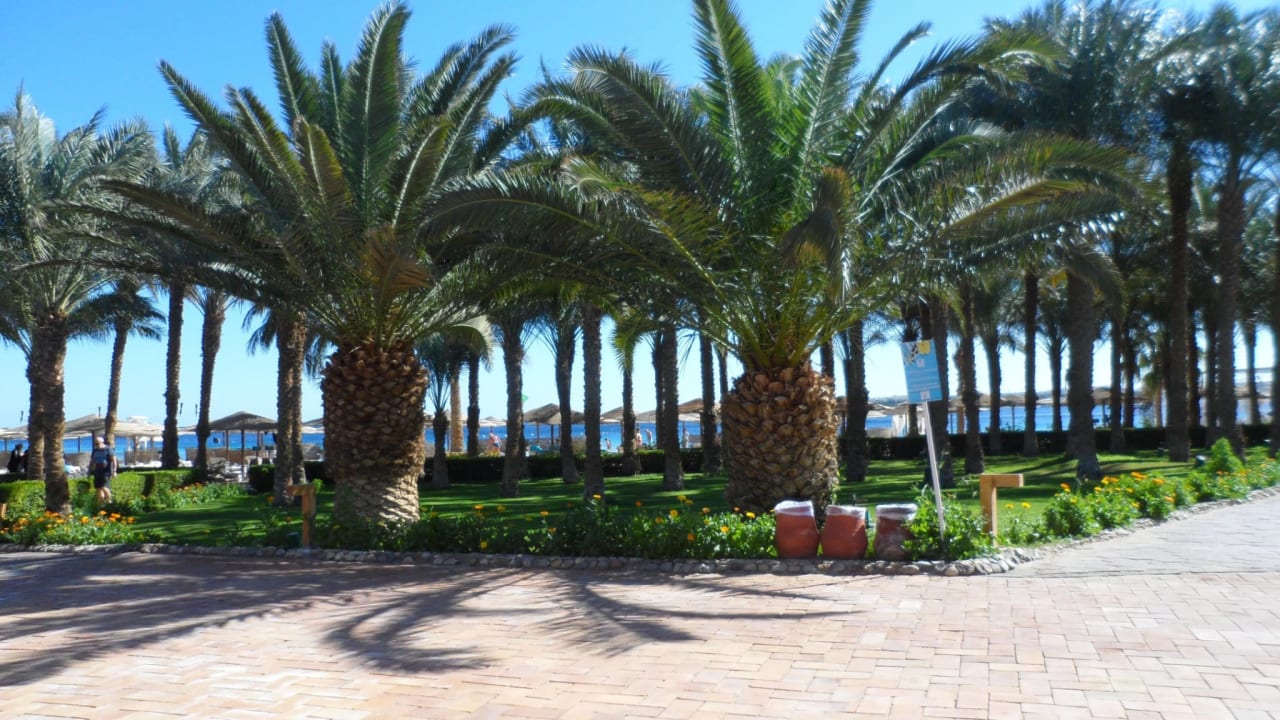 Gartenanlage Fort Arabesque Resort, Spa & Villas