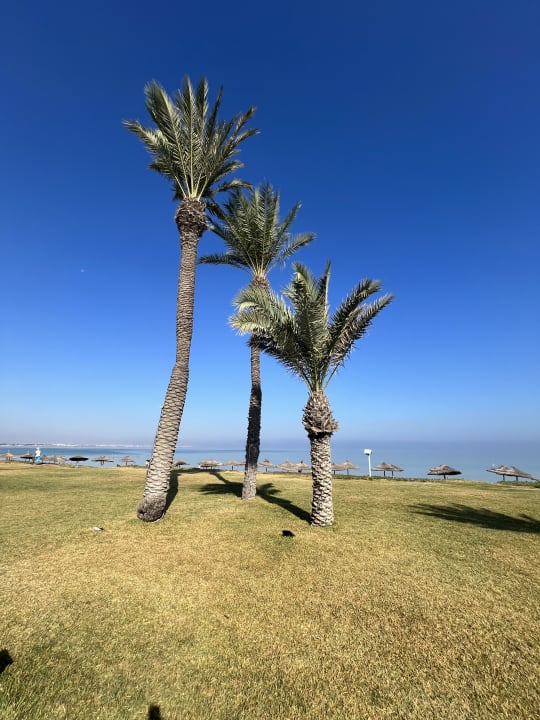 Außenansicht Iberostar Selection Kuriat Palace