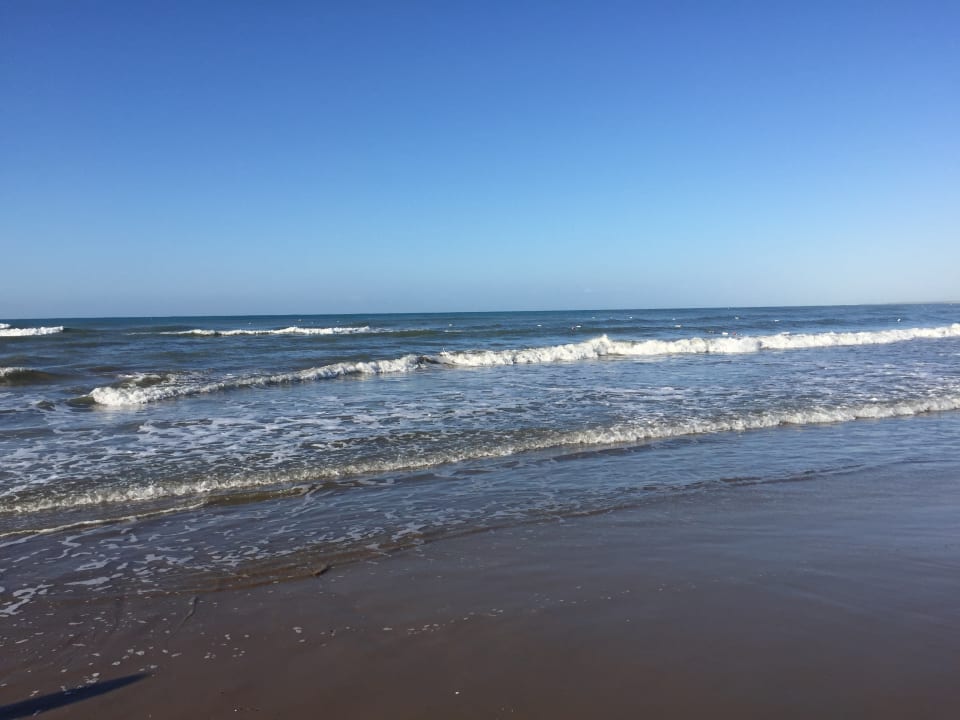 Strand Trendy Palm Beach (Adults Only, 16+)