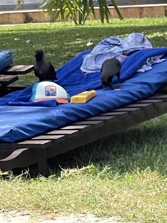 Sonstiges Hotel Southern Palms Beach Resort