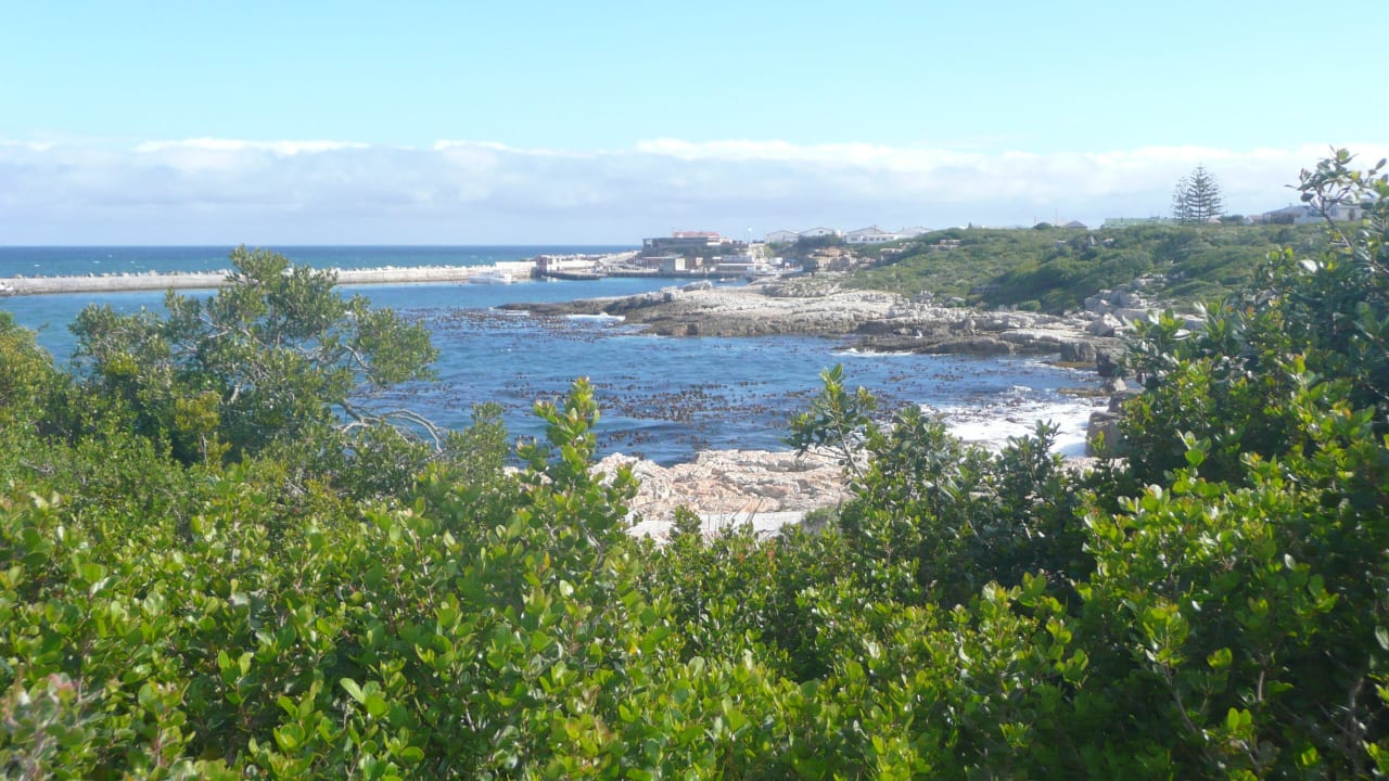 Der Klippenweg im Ort Whale Away Guest House