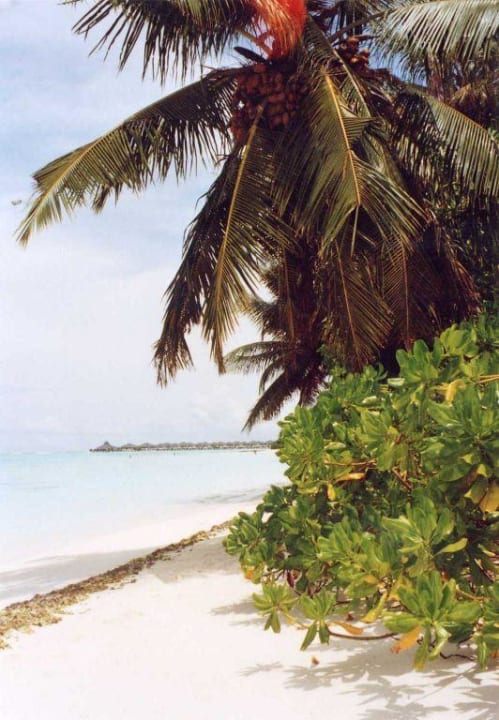 Sun Island Villa Park Sun Island
