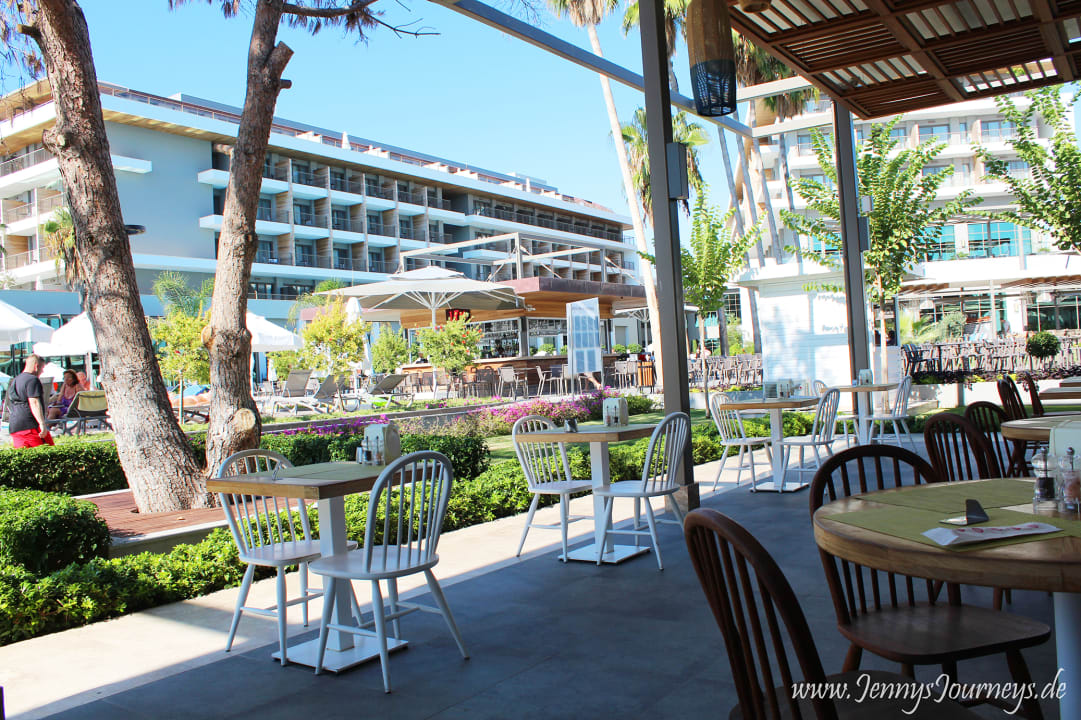 Gastro Acanthus Cennet Barut Collection