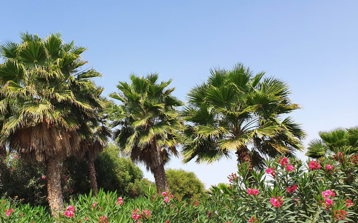 Außenansicht VOI Praia De Chaves Resort