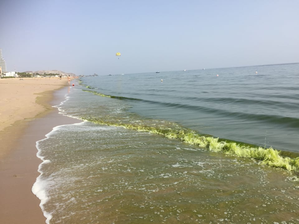 Strand Miramar Al Aqah Beach Resort