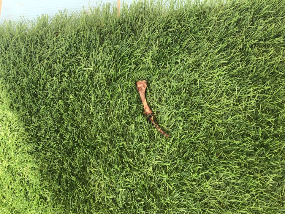 Sonstiges Cleopatra Luxury Resort Makadi Bay