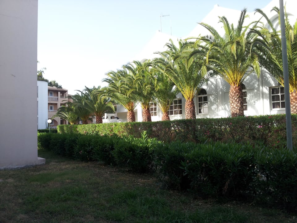 Blick von Zimmerterrasse Sandy Beach Resort