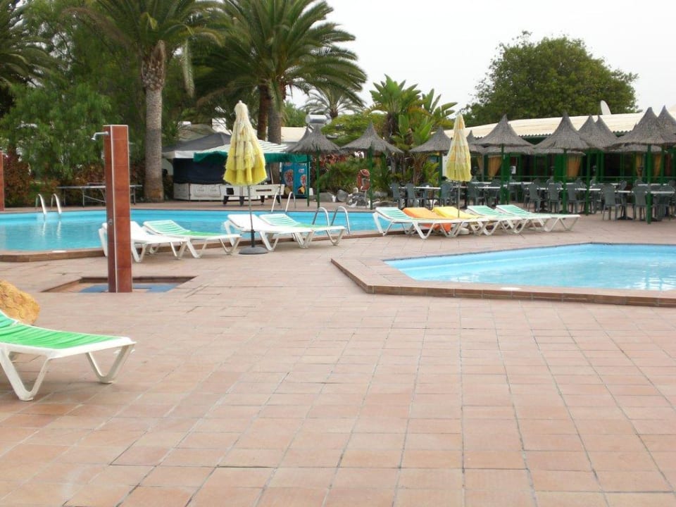 Pool Canary Garden Club