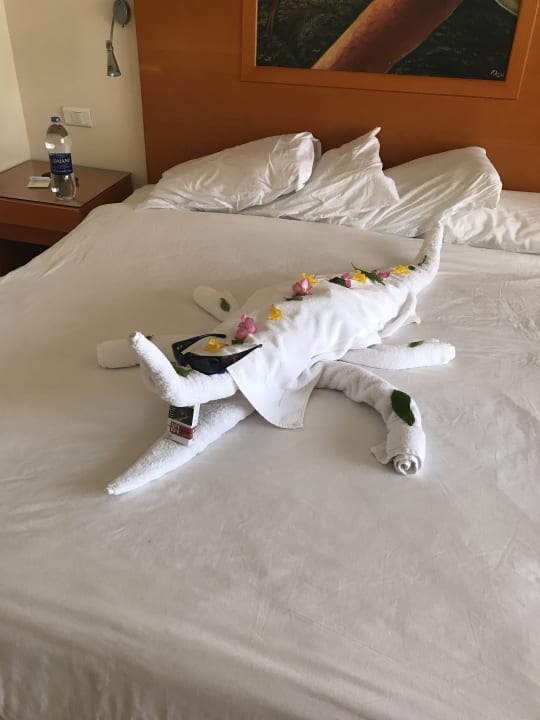 Zimmer Parrotel Beach Resort