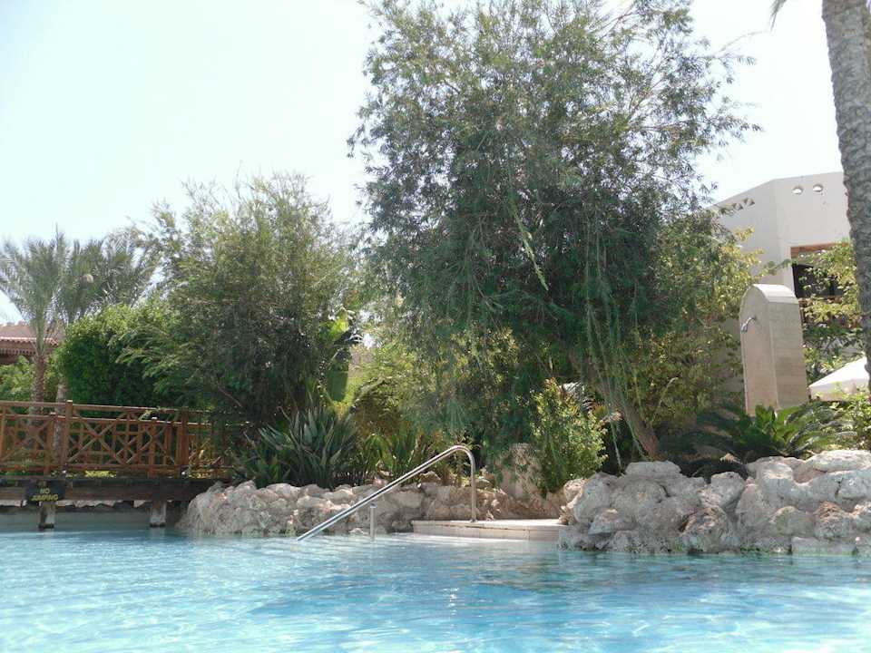 Pool und Garten Ghazala Gardens