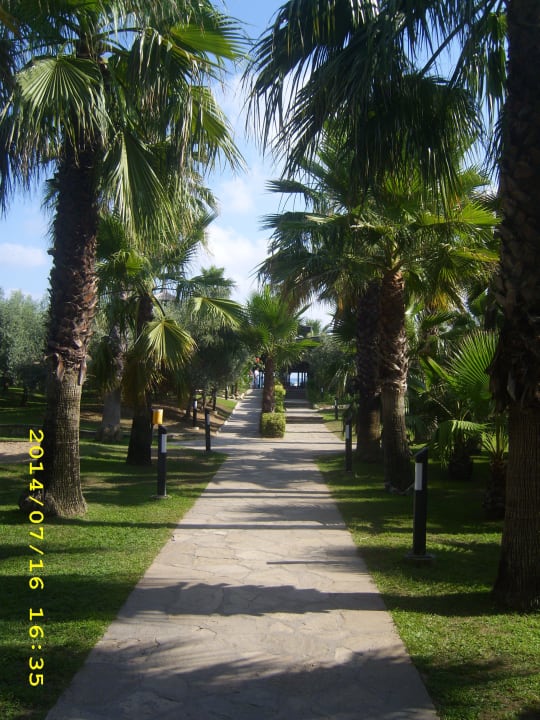 Weg zum Strand Blue Waters Club