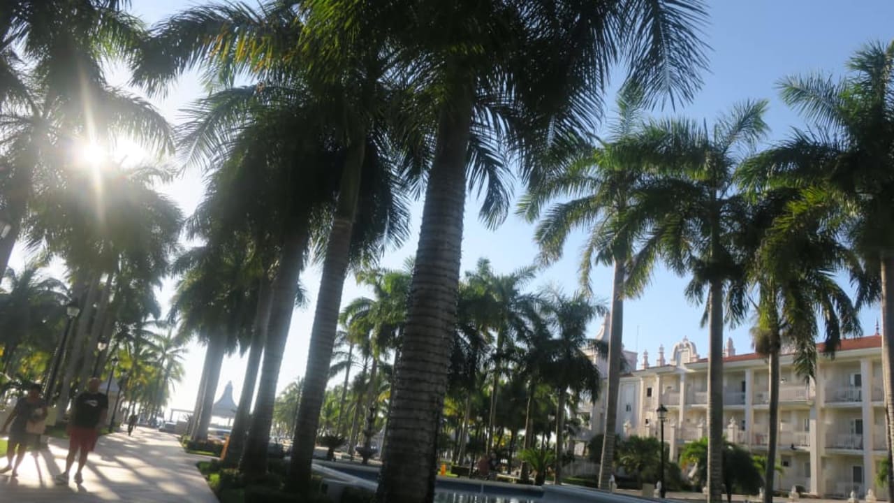 Piękna roślinność Hotel Riu Palace Riviera Maya