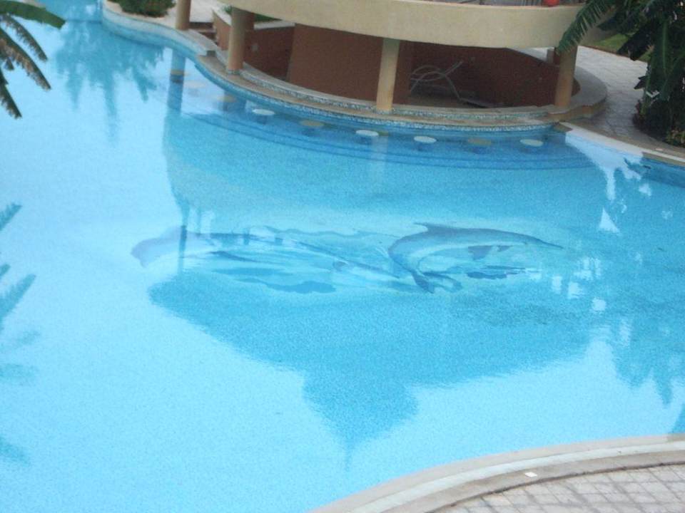 Pool Hotel African Queen