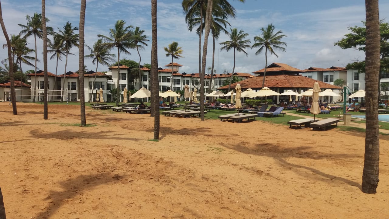 Ausblick Club Hotel Dolphin