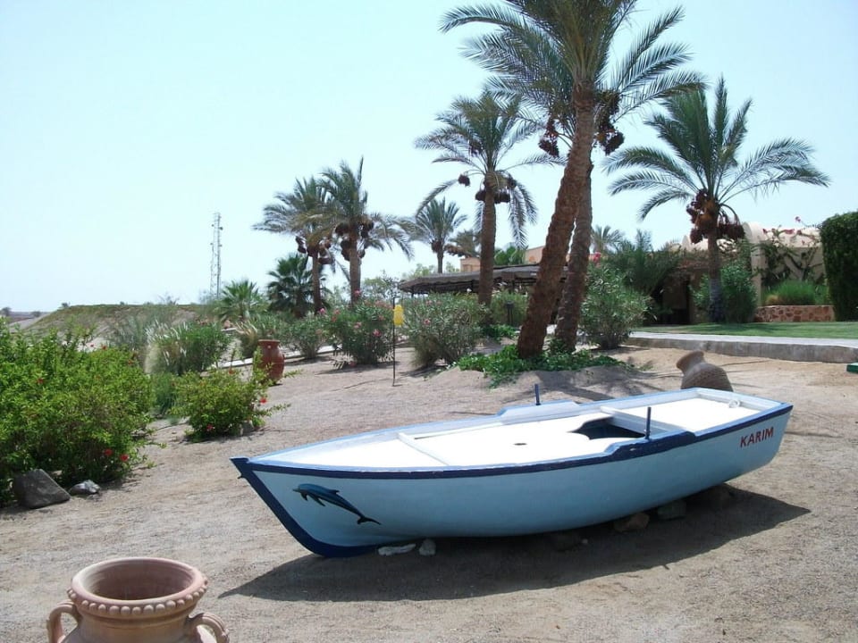 Blick auf den Strand Steigenberger Coraya Beach - Adults only