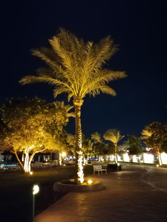 Gartenanlage Desert Rose