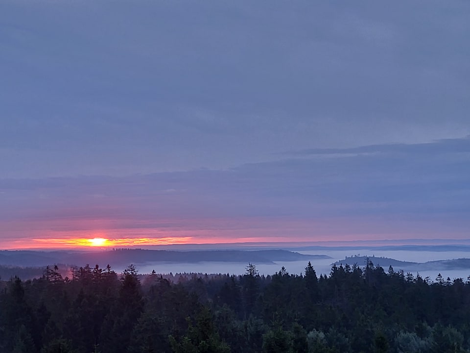 Ausblick Wellness- & Nationalpark Hotel Schliffkopf, BW Signature Collection by Best Western