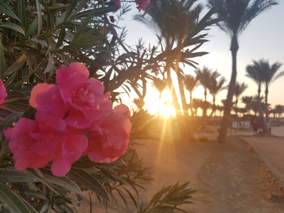 Gartenanlage Jaz Solaya